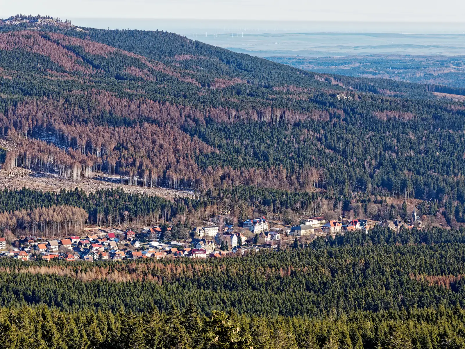 Blick vom Wurmberg über Schierke zum Brocken