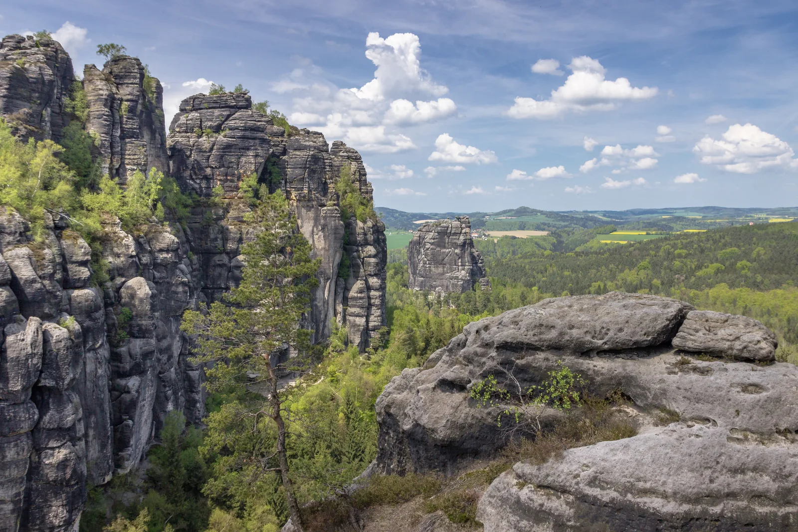 Die Schrammsteine mit dem Falkenstein von der Ostseite