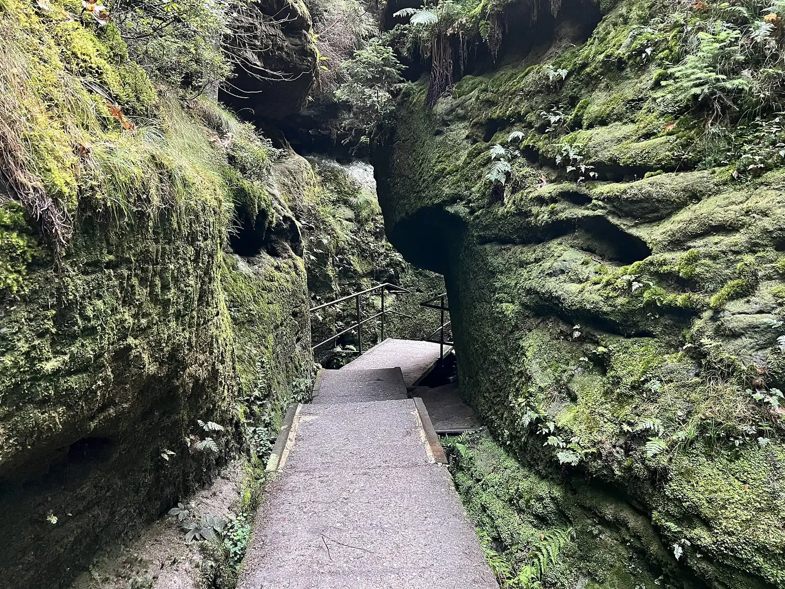 Steinerner Weg zwischen hohen, bemoosten Sandsteinwänden in den Schwedenlöchern im Nationalpark Sächsische Schweiz