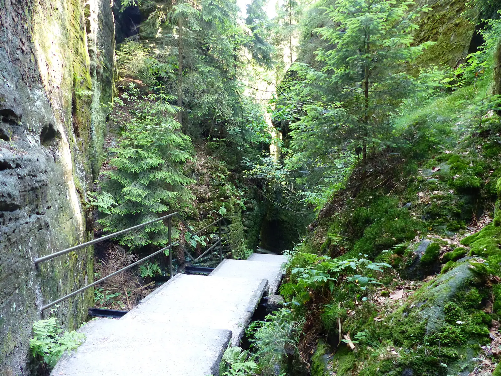 Treppe mit Geländer in der grünen Schlucht der Schwedenlöcher bei Rathen im Nationalpark Sächsische Schweiz