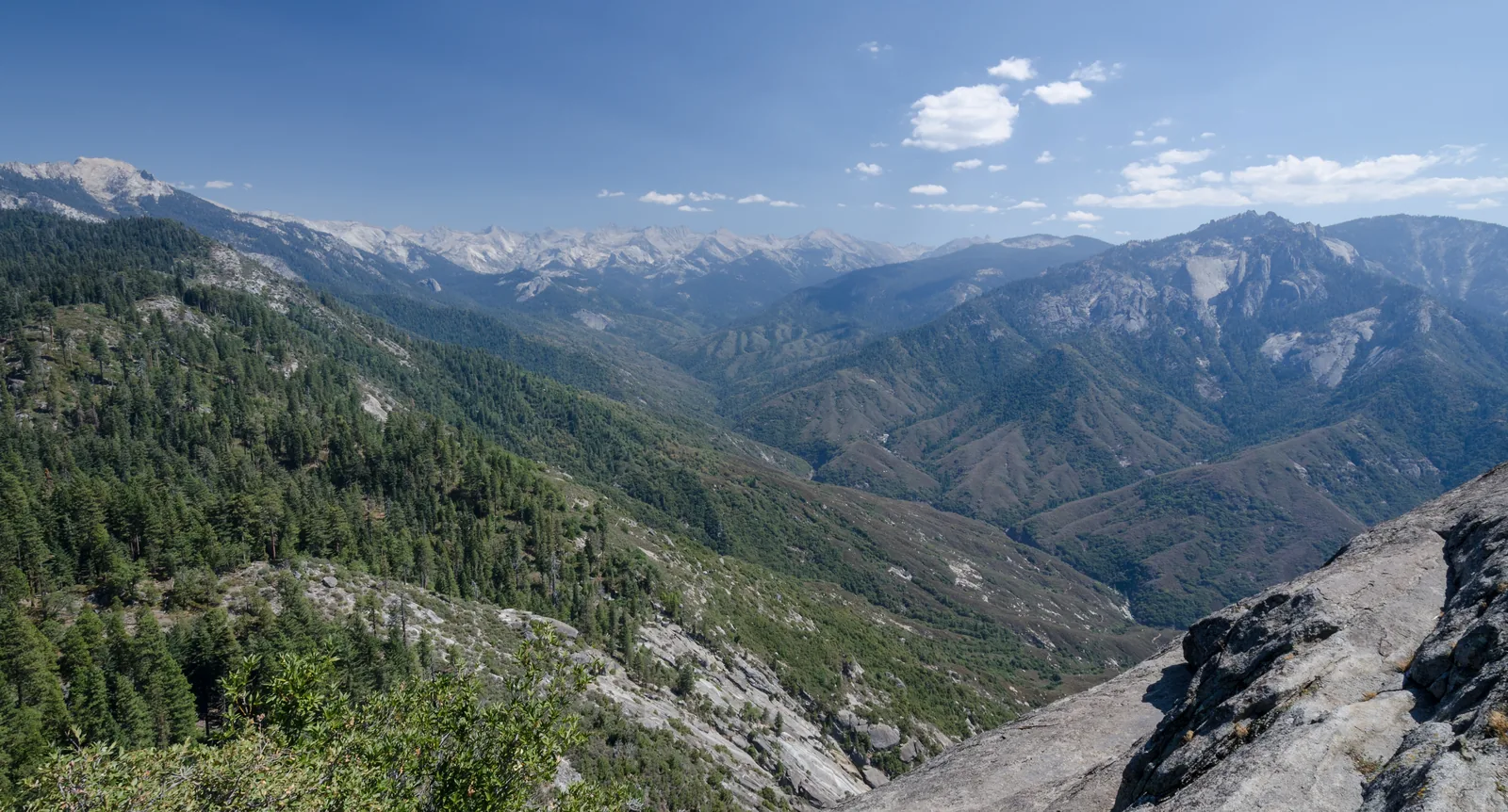Blick vom Moro Rock über bewaldete Täler auf die Gipfel der Great Western Divide