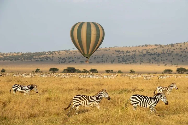 Angebotsfoto: Ballonsafari bei Sonnenaufgang mit Buschfrühstück