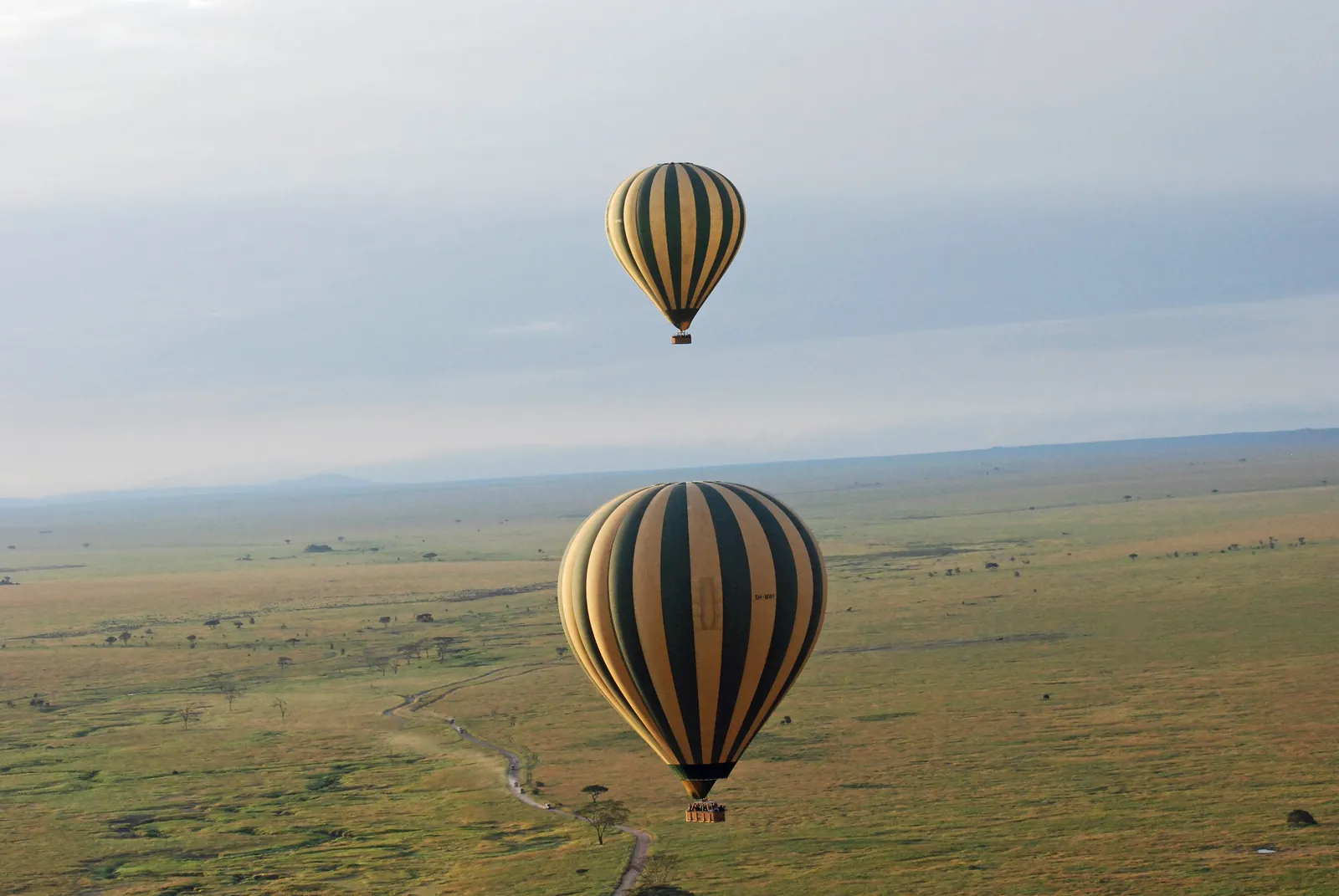 Zwei gestreifte Heißluftballone schweben am frühen Morgen über der weiten, grünbraunen Ebene des Serengeti-Nationalparks