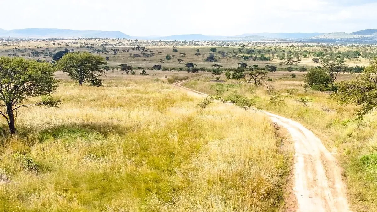 Angebotsfoto: Ab Sansibar: zwei Tage Serengeti mit Flug nach Seronera