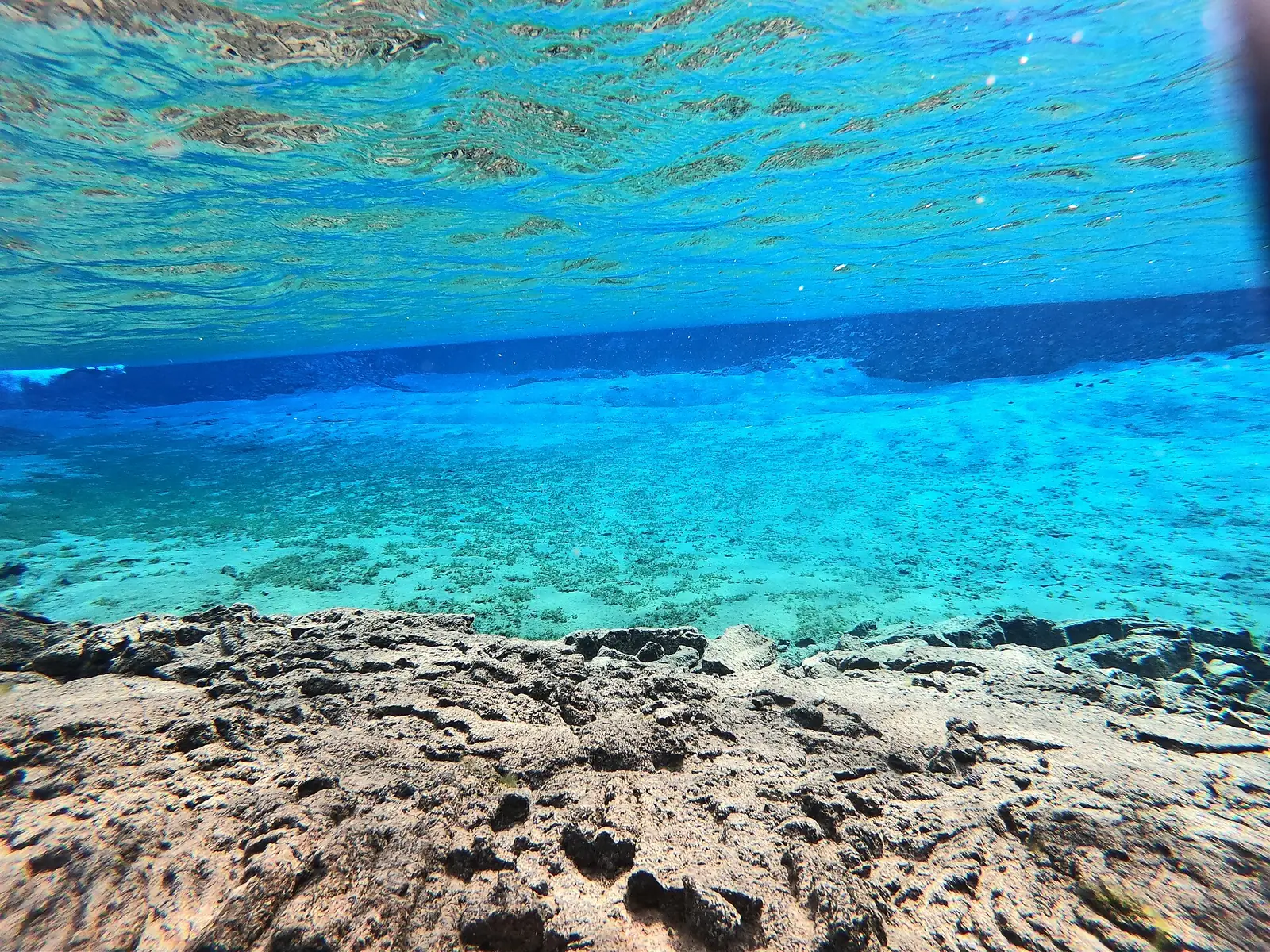 Der flache Teil der Silfra unter Wasser: grüner Algenbewuchs auf hellem Grund, darüber die Wasseroberfläche
