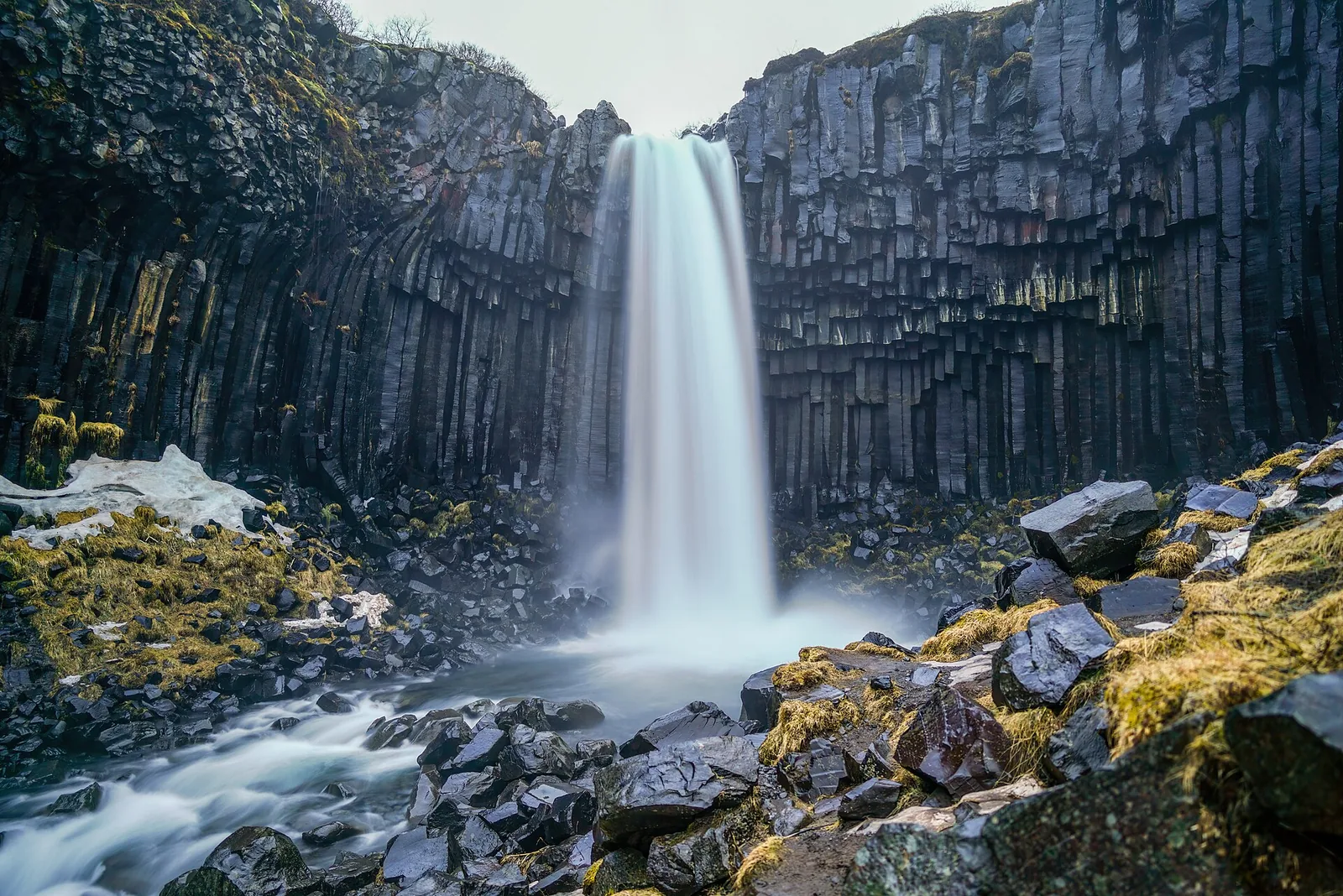 Der Svartifoss in Skaftafell fällt als weißer Schleier über dunkle Basaltsäulen, im Vordergrund moosige Steine im Bach