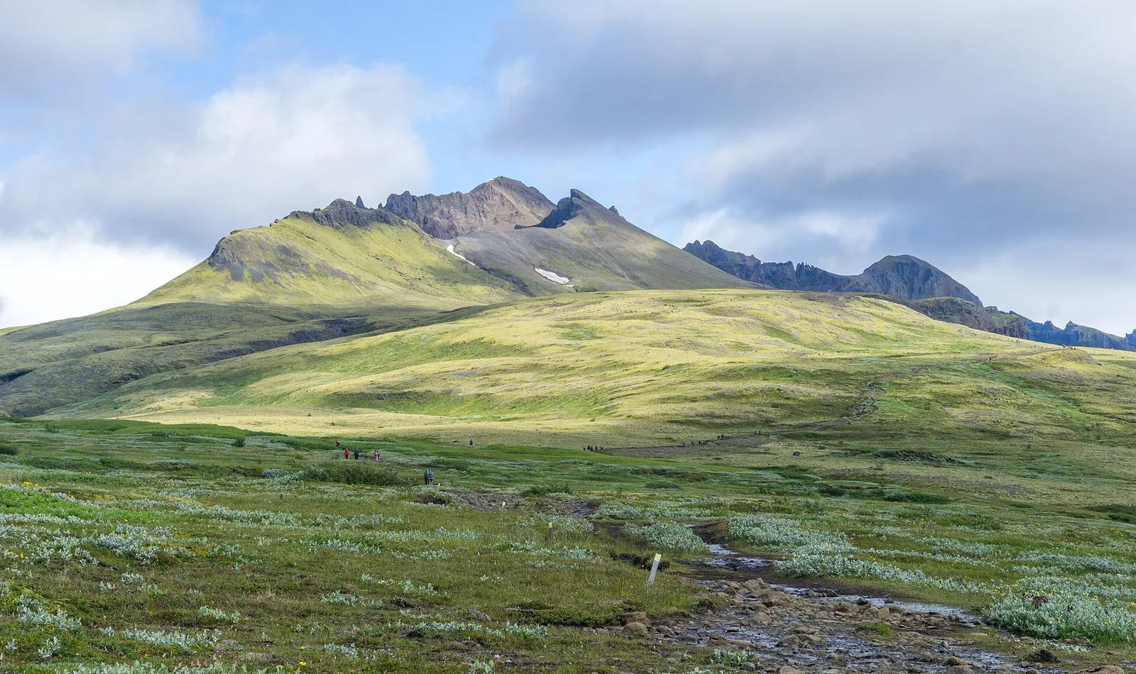 Grüne Hänge der Skaftafellsheiði in Skaftafell unter den zackigen Gipfeln der Kristínartindar