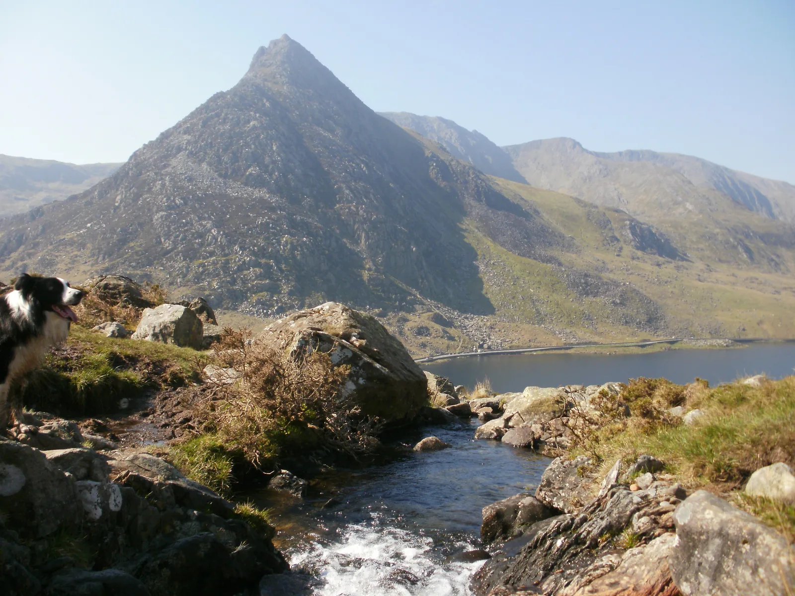 Der Felsgipfel Tryfan im Snowdonia-Nationalpark über dem See Llyn Ogwen, vorne ein Bach zwischen Felsen