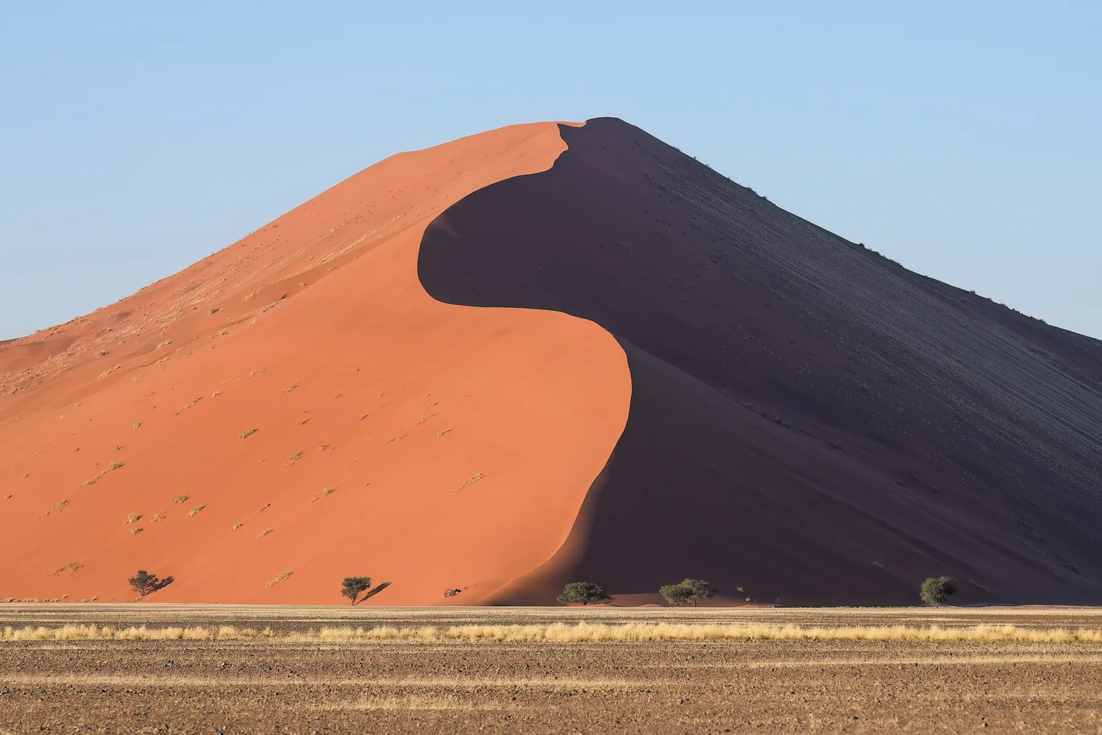 Die rote Sterndüne Düne 45 im Namib-Naukluft-Park bei Sonnenaufgang, eine Seite im Schatten, davor flache Ebene
