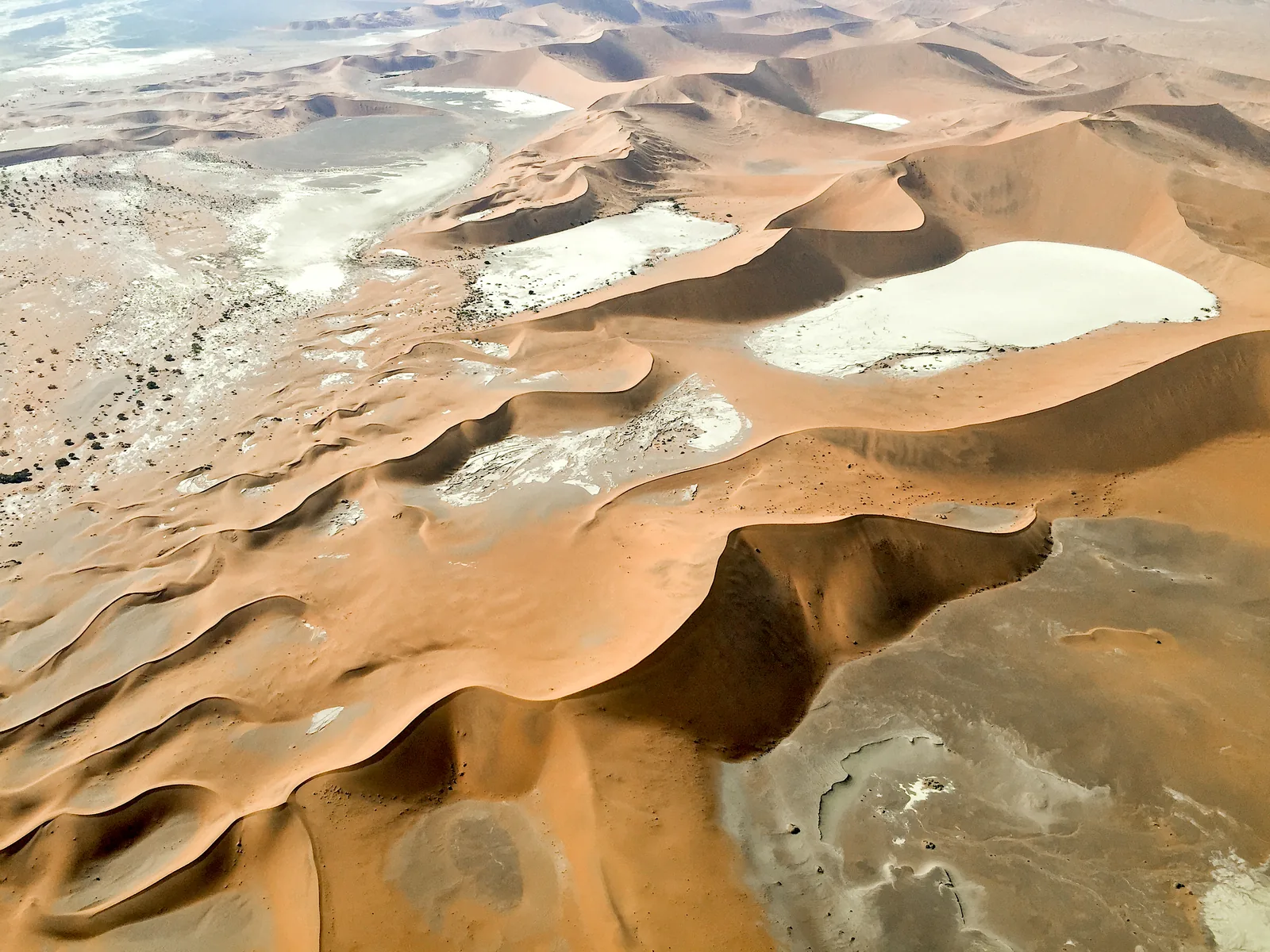 Luftaufnahme des Sossusvlei im Namib-Naukluft-Park: helle Tonpfannen zwischen roten Sterndünen