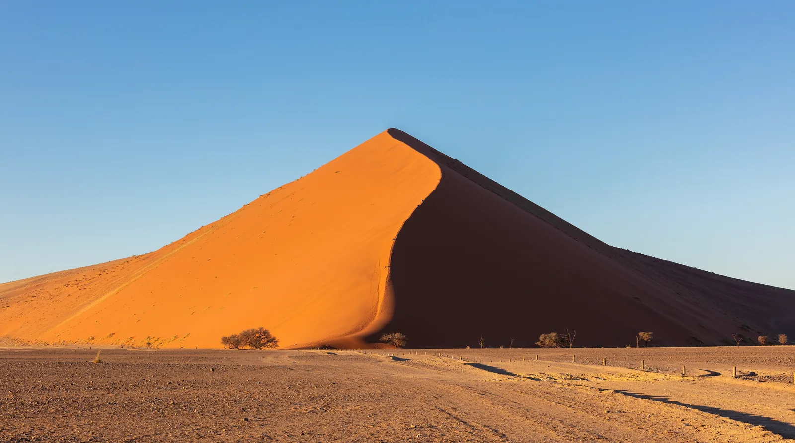 Eine hohe rote Düne im Namib-Naukluft-Park unter blauem Himmel, am Fuß die Ebene