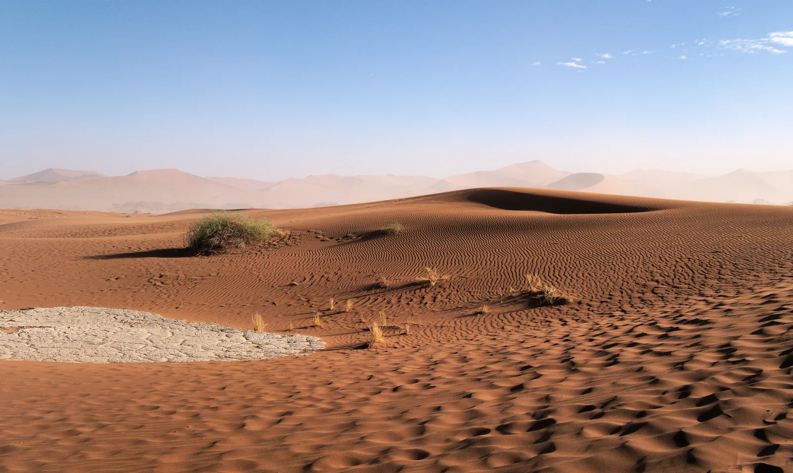 Windrippel im Sand zwischen Deadvlei und Sossusvlei im Namib-Naukluft-Park