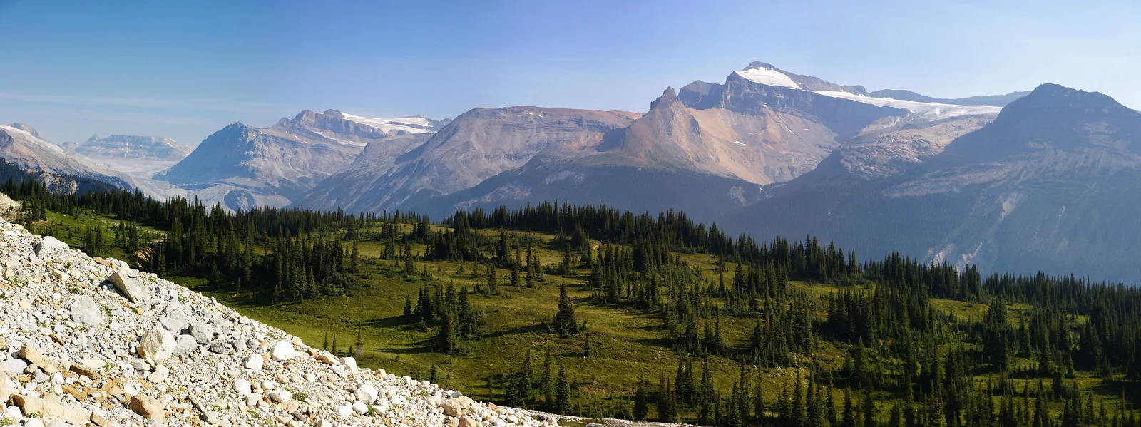 Weiter Blick von der Iceline über Almwiesen und Geröll auf die vergletscherten Gipfel oberhalb der Takakkaw Falls im Yoho-Nationalpark.