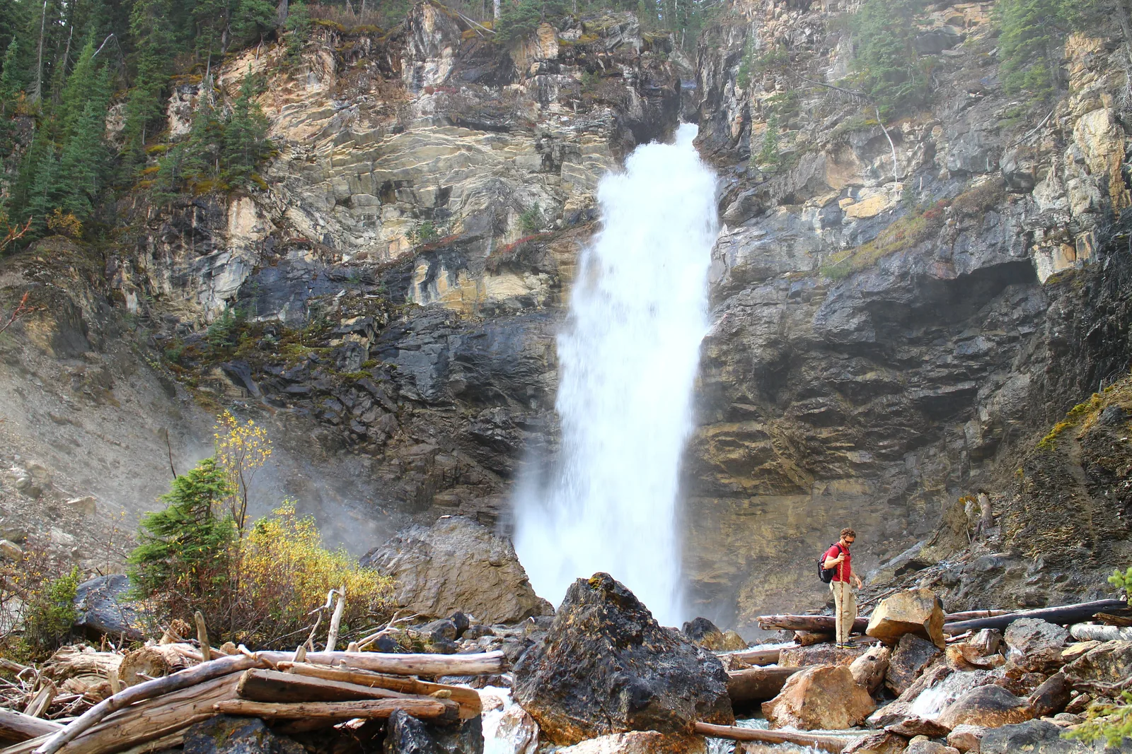 Die Laughing Falls am Wanderweg ab den Takakkaw Falls im Yoho-Nationalpark, davor ein Wanderer zwischen Treibholz.