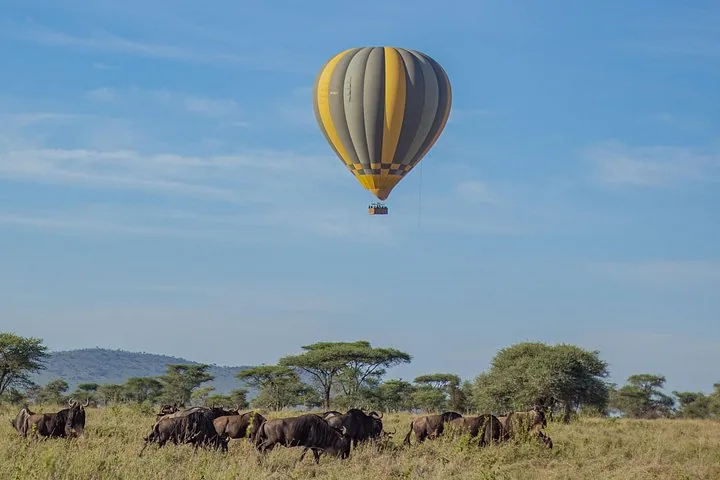 Angebotsfoto: Ballonsafari über Tarangire mit Buschfrühstück