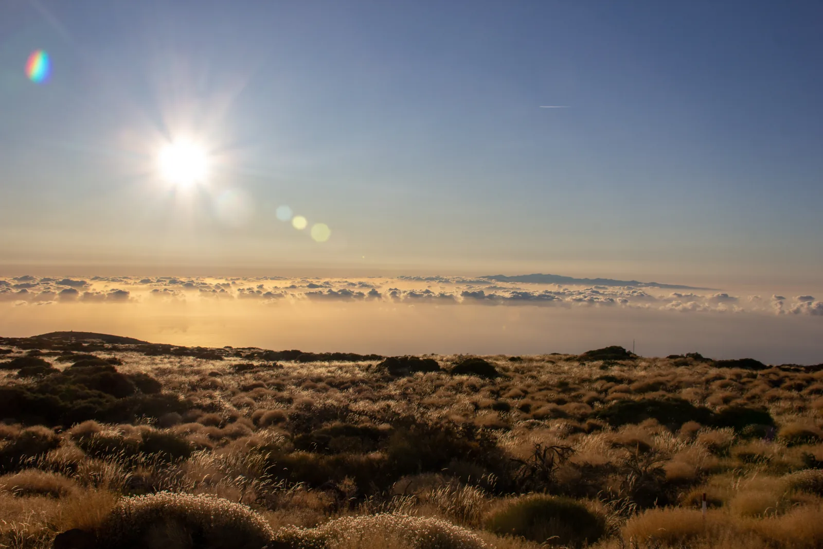 Tiefstehende Sonne über einem Wolkenmeer, davor die Ginsterbüsche am Observatorio del Teide