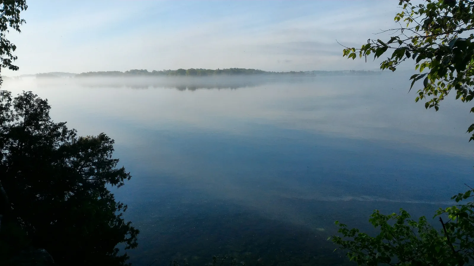 Morgennebel über dem spiegelglatten Strom, im Vordergrund Laub, am Horizont ein flaches bewaldetes Ufer