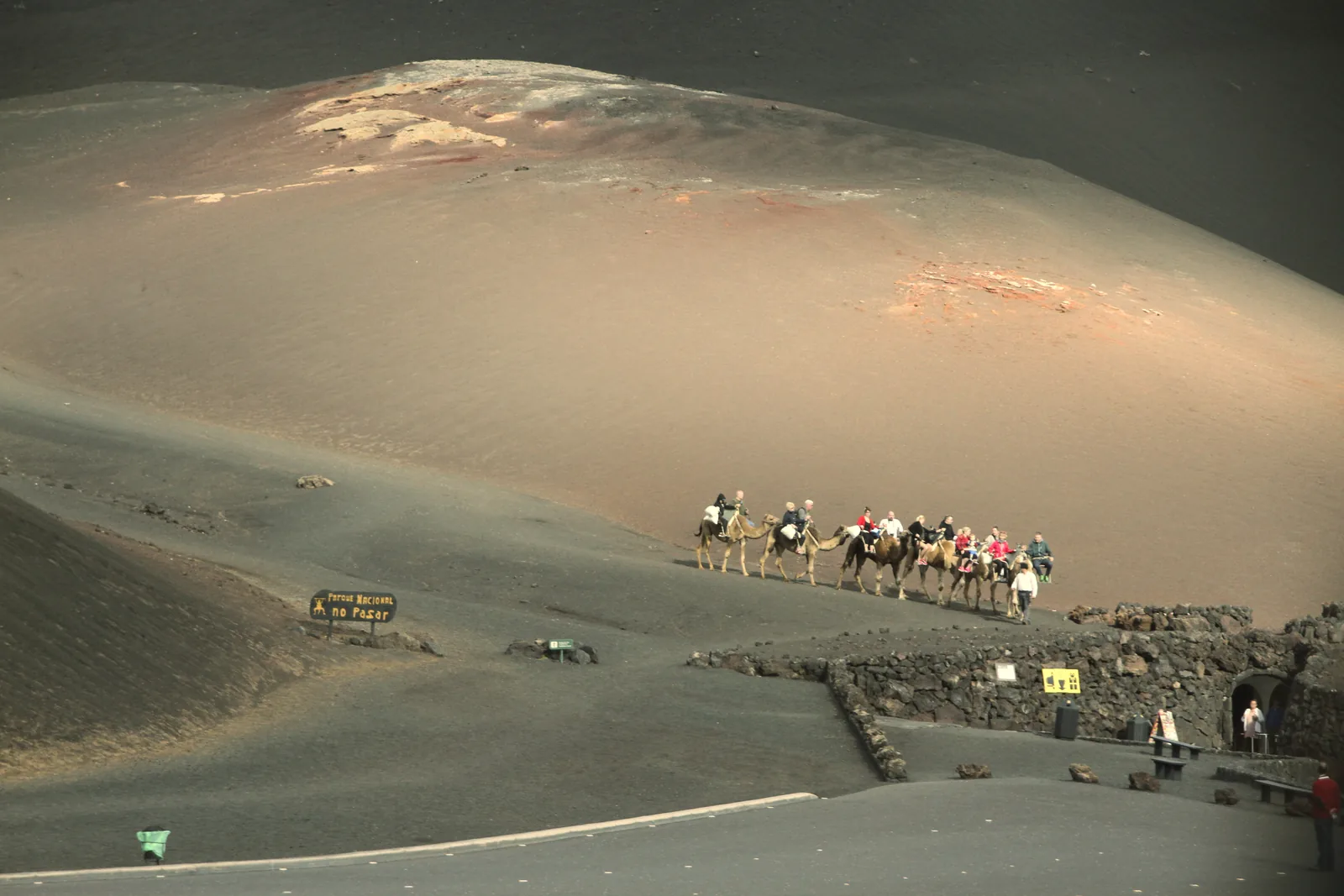 Eine Dromedarkarawane mit Besuchern zieht am schwarzen Aschehang der Montaña de Timanfaya entlang