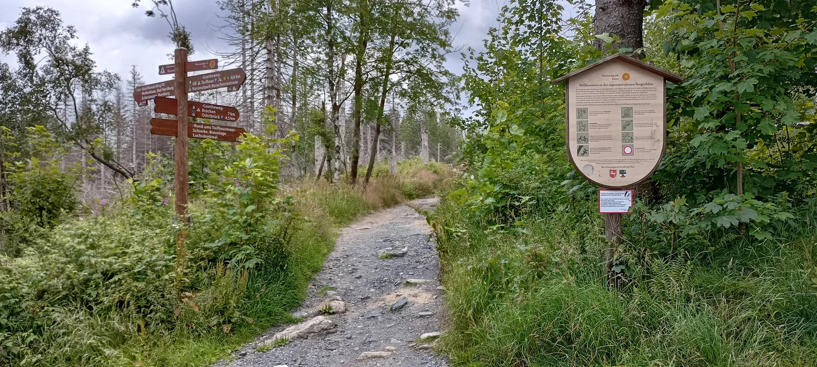 Der Wegbeginn bei Torfhaus Richtung Brocken und Eckerstausee