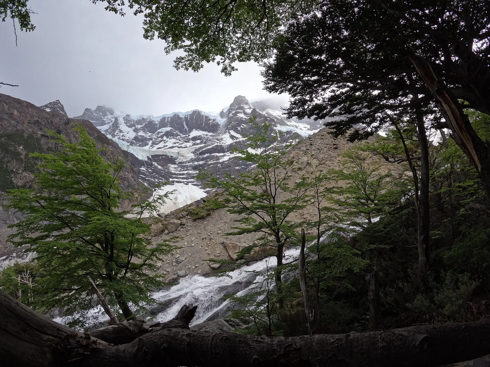 Blick auf den Cerro Paine Grande im Valle del Francés im Nationalpark Torres del Paine, Lenga-Bäume im Vordergrund
