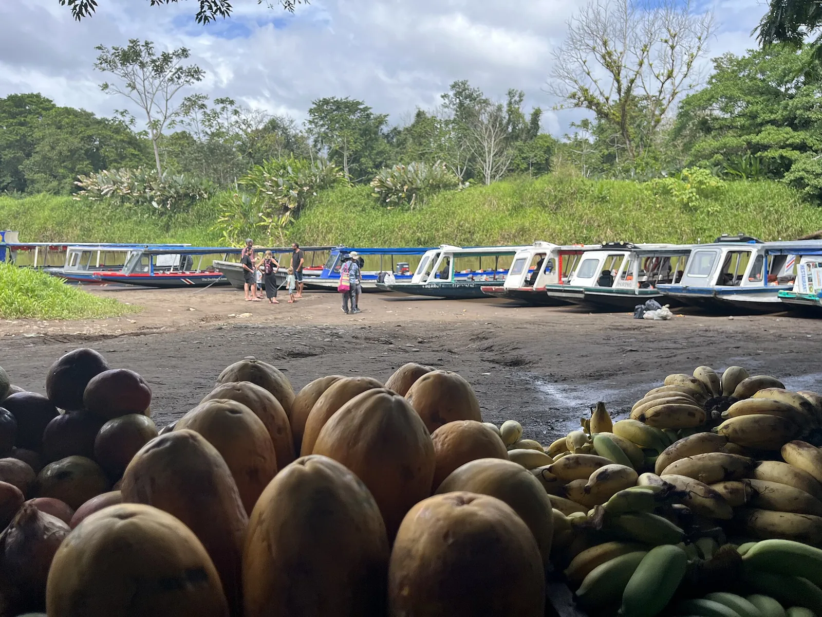Bootsanleger La Pavona am Weg zum Tortuguero-Nationalpark mit überdachten Booten am Flussufer
