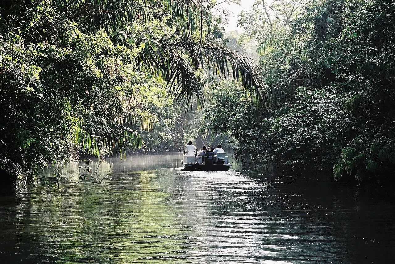 Ein Ausflugsboot fährt auf einem Kanal im Tortuguero-Nationalpark zwischen dichtem tropischem Regenwald