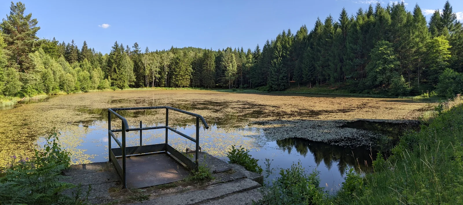 Taubenteich mit Steg am Trekkingplatz Taubenteich-Biwak des Forststeigs in der Sächsischen Schweiz