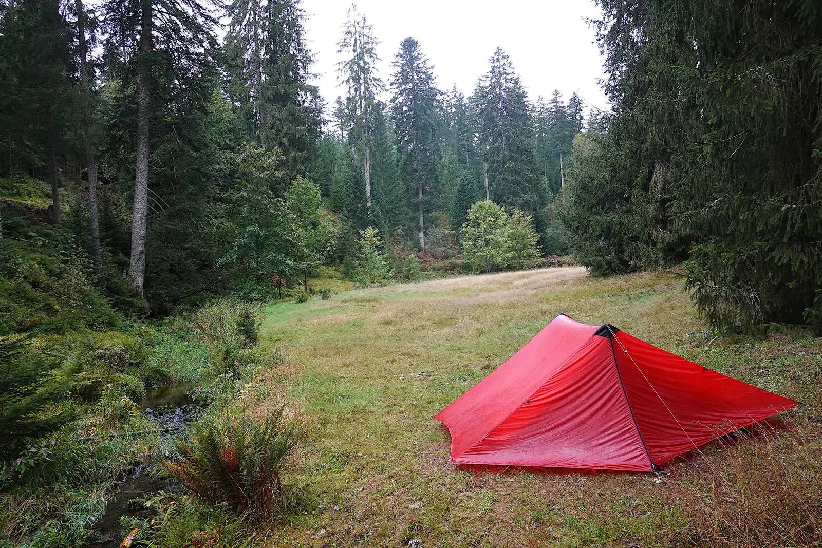 Rotes Zelt auf dem Trekkingplatz Kniebis im Nordschwarzwald an einem Bach zwischen Fichten