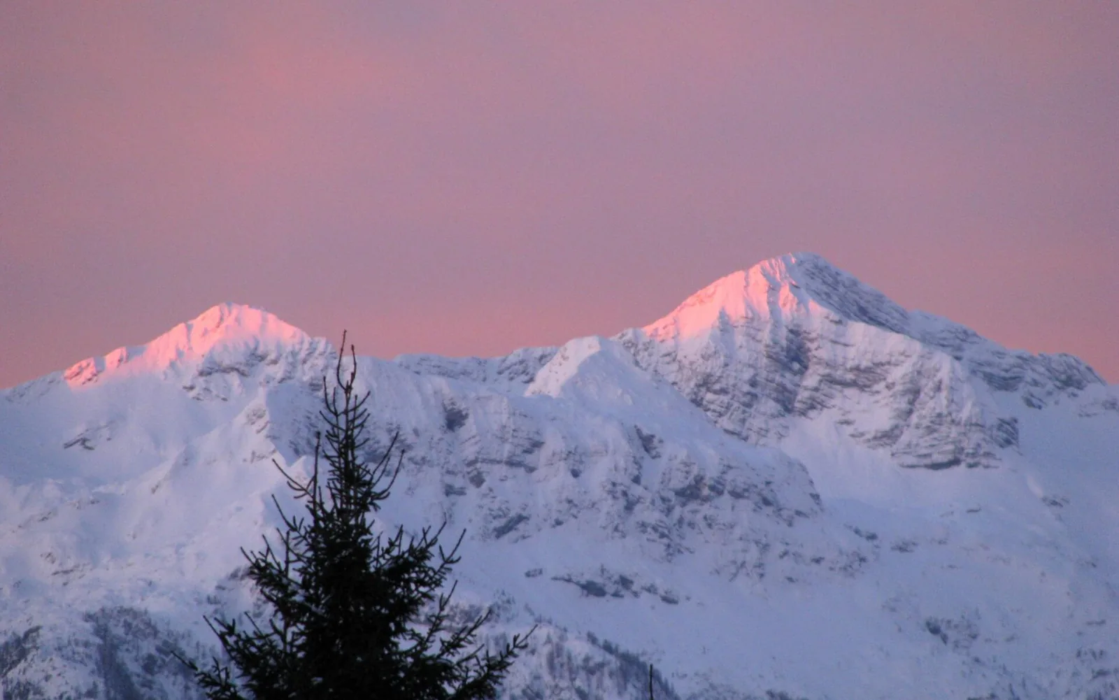 Schneebedeckte Gipfel der Julischen Alpen im Abendlicht, gesehen von der Pokljuka im Triglav-Nationalpark