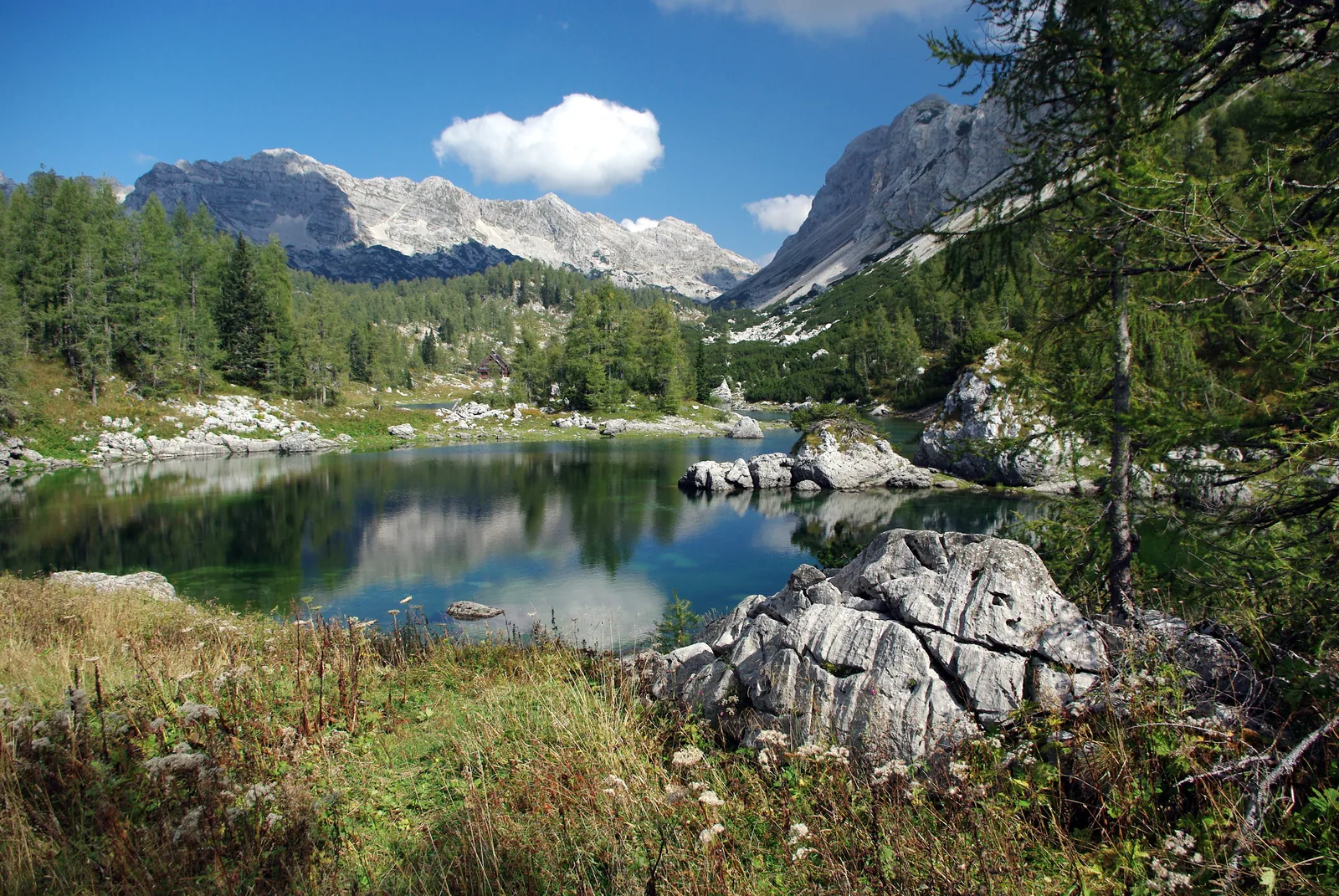Der Doppelsee im Tal der Triglav-Seen, umgeben von Lärchen und hellen Kalkwänden