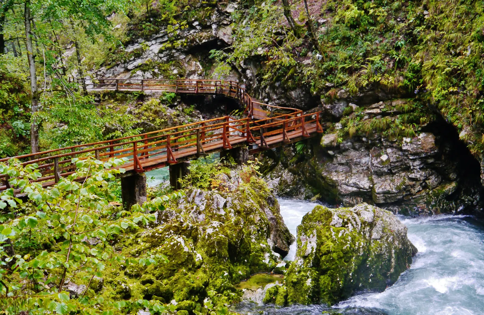 Holzstege entlang der Felswand über dem türkisfarbenen Wasser der Radovna in der Vintgar-Klamm