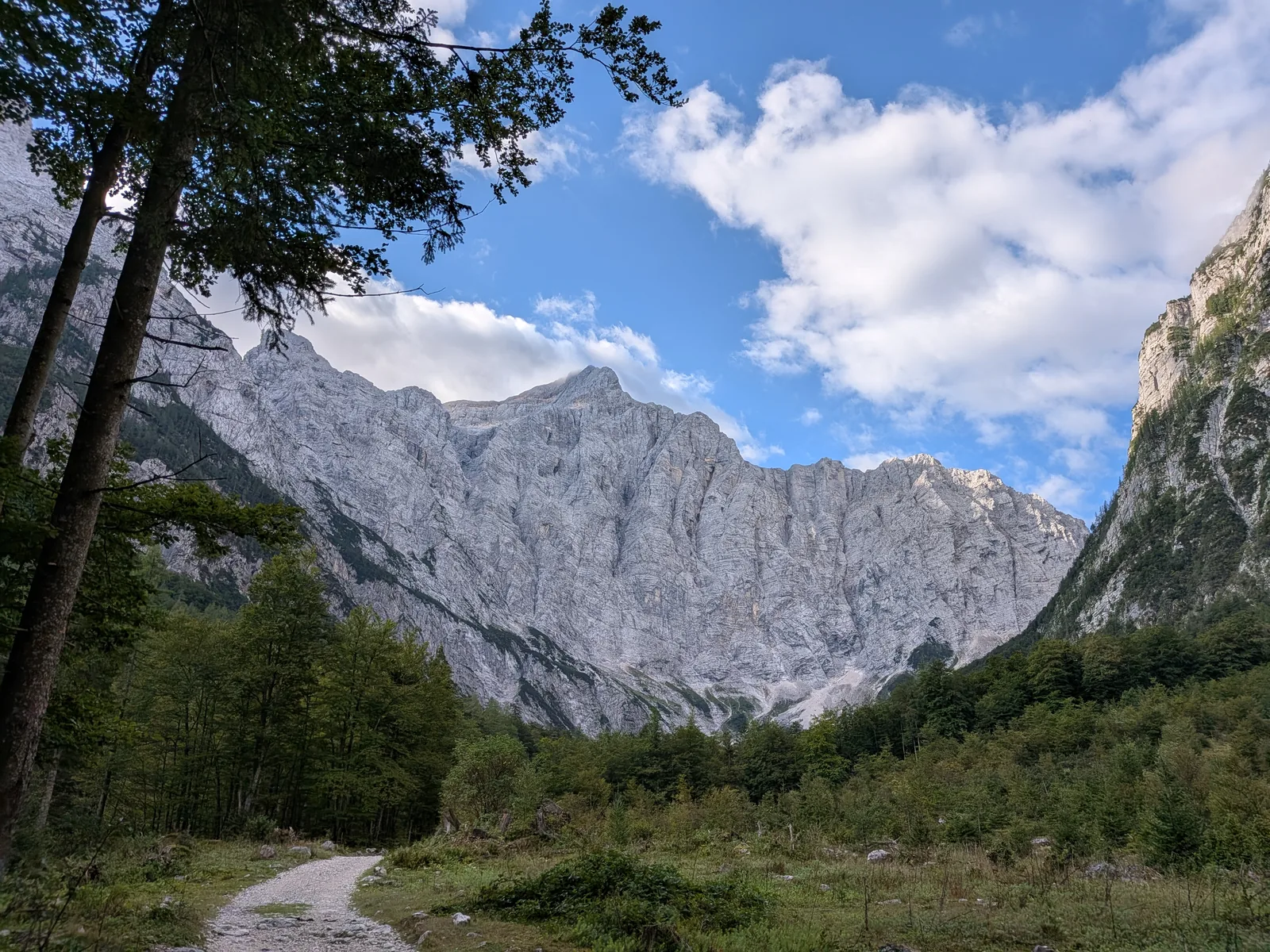 Die Triglav-Nordwand über dem Vrata-Tal, im Vordergrund ein Weg durch den Wald
