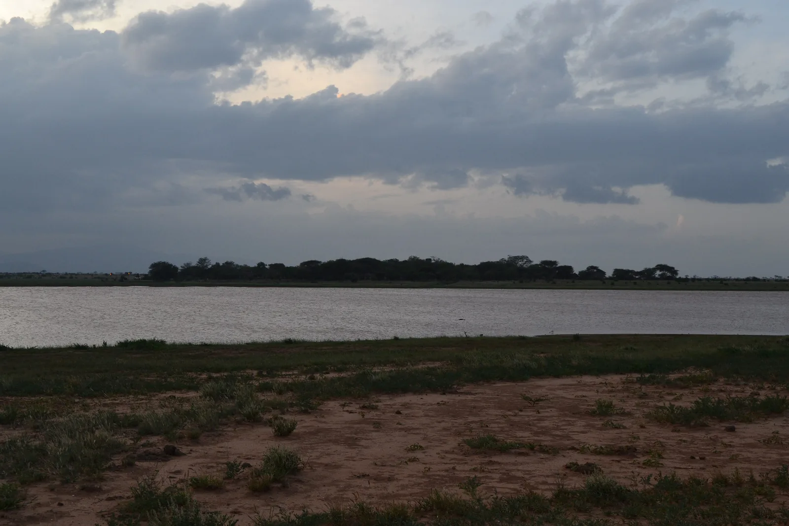 Der Stausee des Aruba-Damms im Tsavo-East-Nationalpark am Abend, im Vordergrund grasbewachsenes Ufer, am Horizont ein Waldstreifen unter Wolken