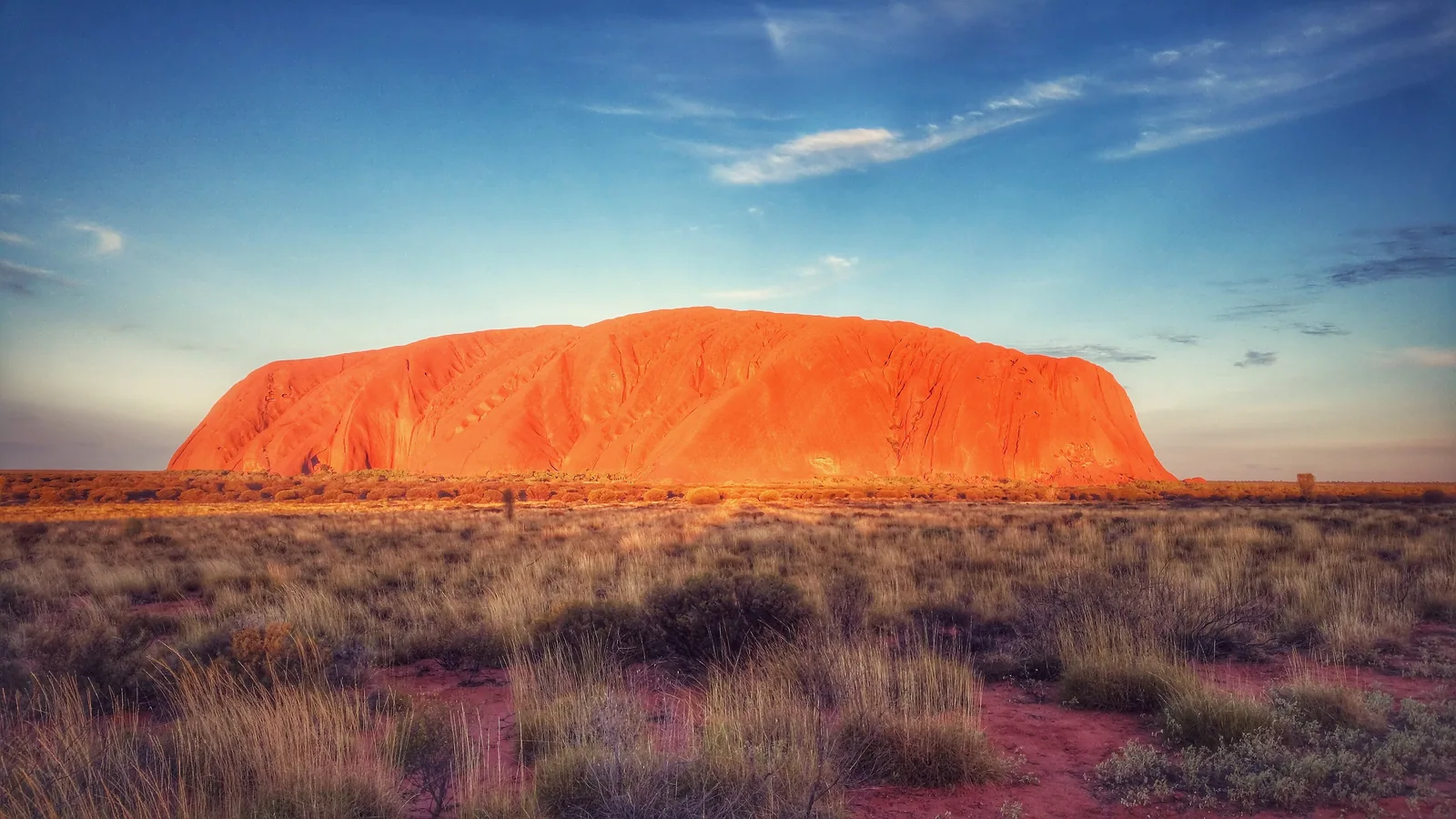 Der Uluru im Uluṟu-Kata-Tjuṯa-Nationalpark leuchtet im frühen Morgenlicht orange, davor eine Ebene mit Spinifex und rotem Sand
