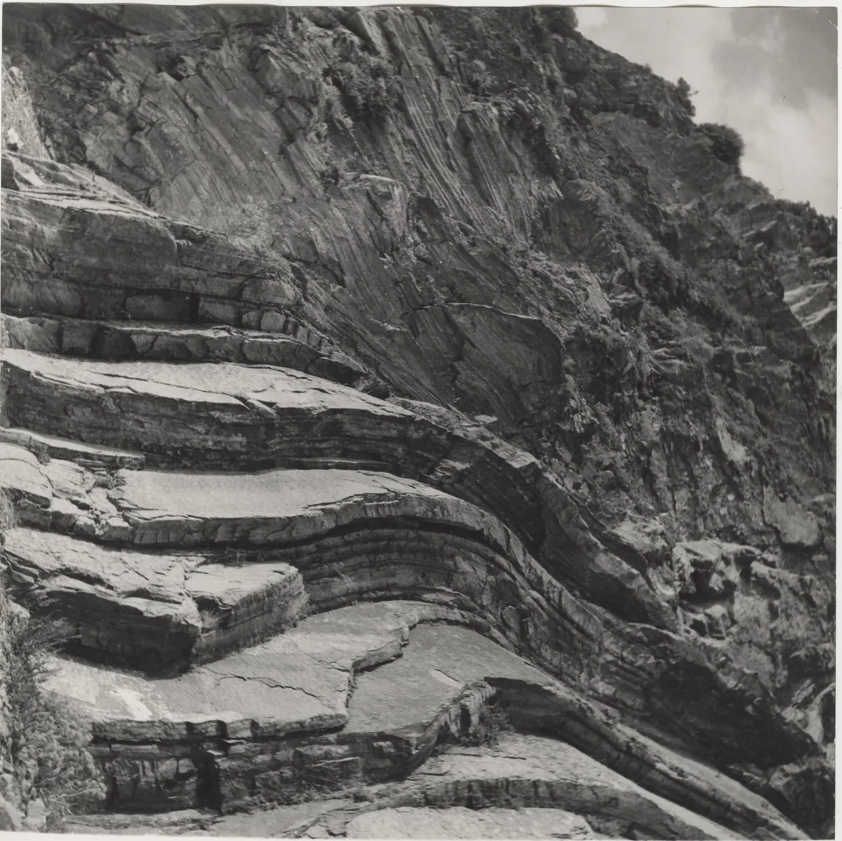 Historische Aufnahme von 1955: die Via dell'Amore bei Riomaggiore zwischen gefalteten Gesteinsschichten der Felsküste