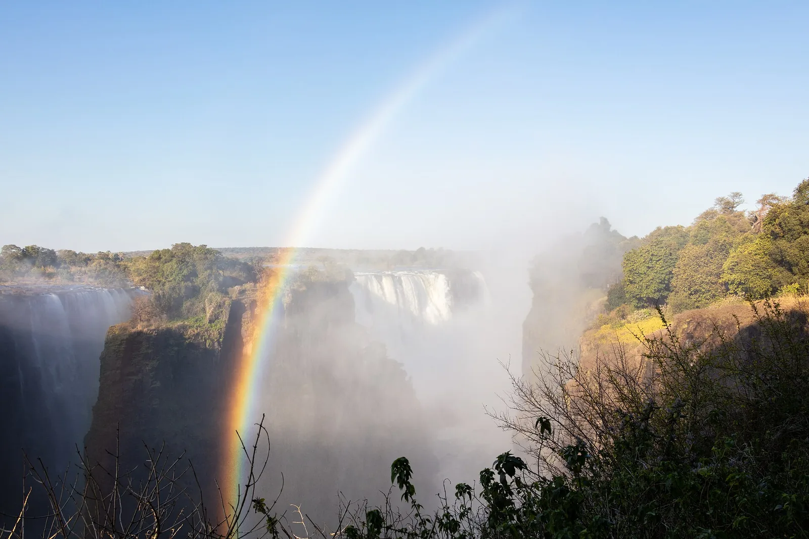 Ein Regenbogen steht in der Gischt der Victoria Falls über der Schlucht, rechts Büsche am Rand des Regenwalds