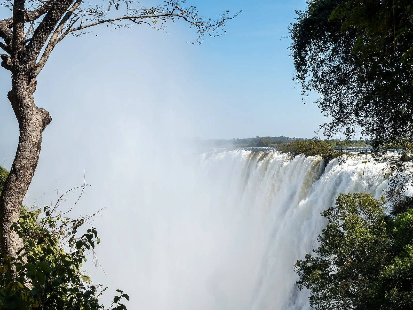 Die Victoria Falls von der sambischen Seite im Mosi-oa-Tunya National Park: Wasser stürzt über die Basaltkante, davor Bäume