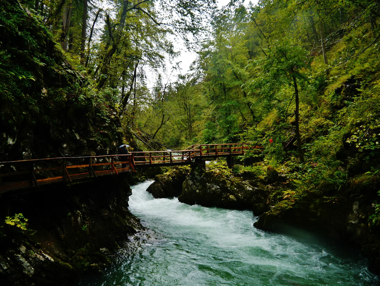 Die Radovna fließt unter einem Holzsteg durch den bewaldeten Einschnitt der Klamm