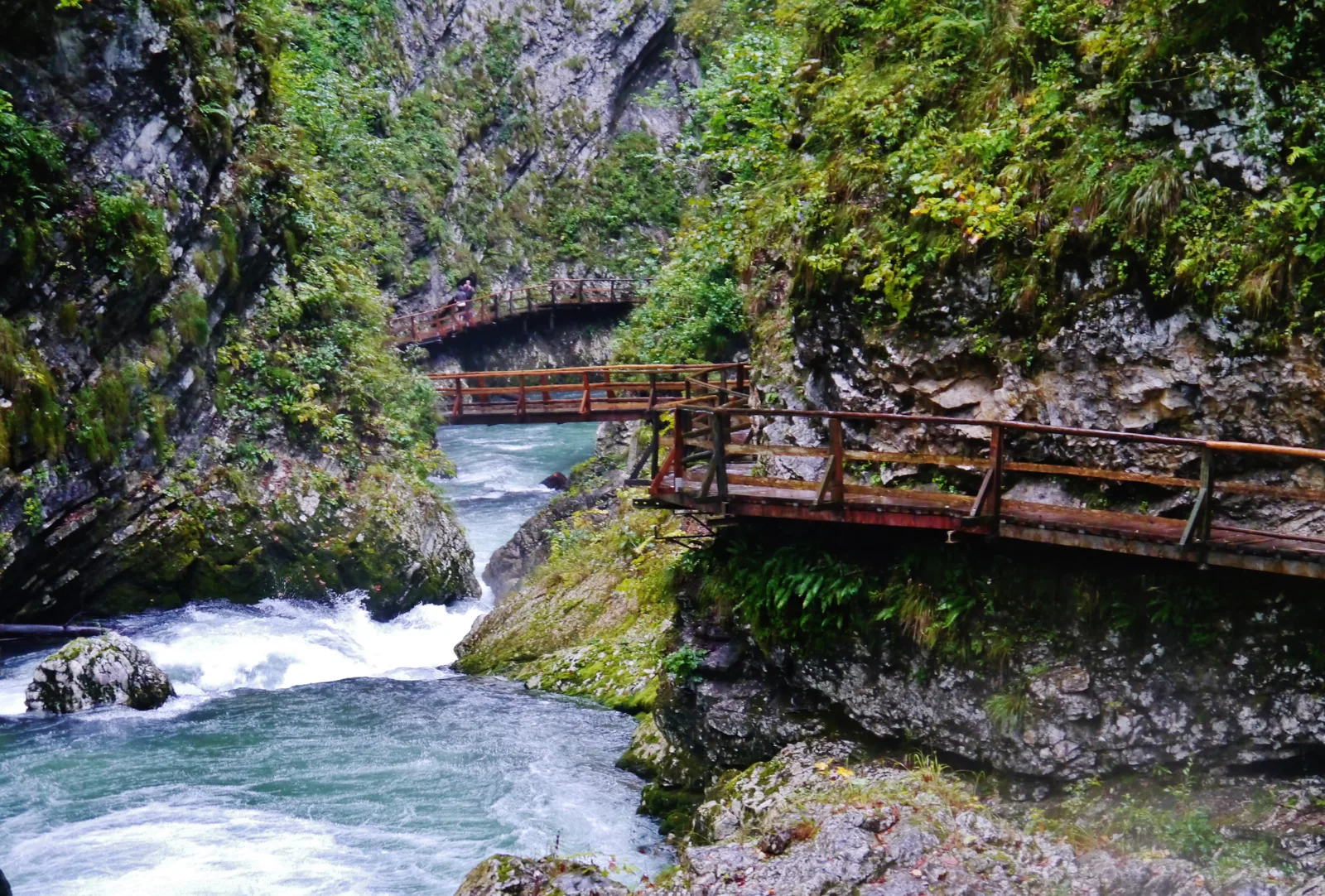 Holzstege an der Felswand über der türkisfarbenen Radovna in der Vintgar-Klamm