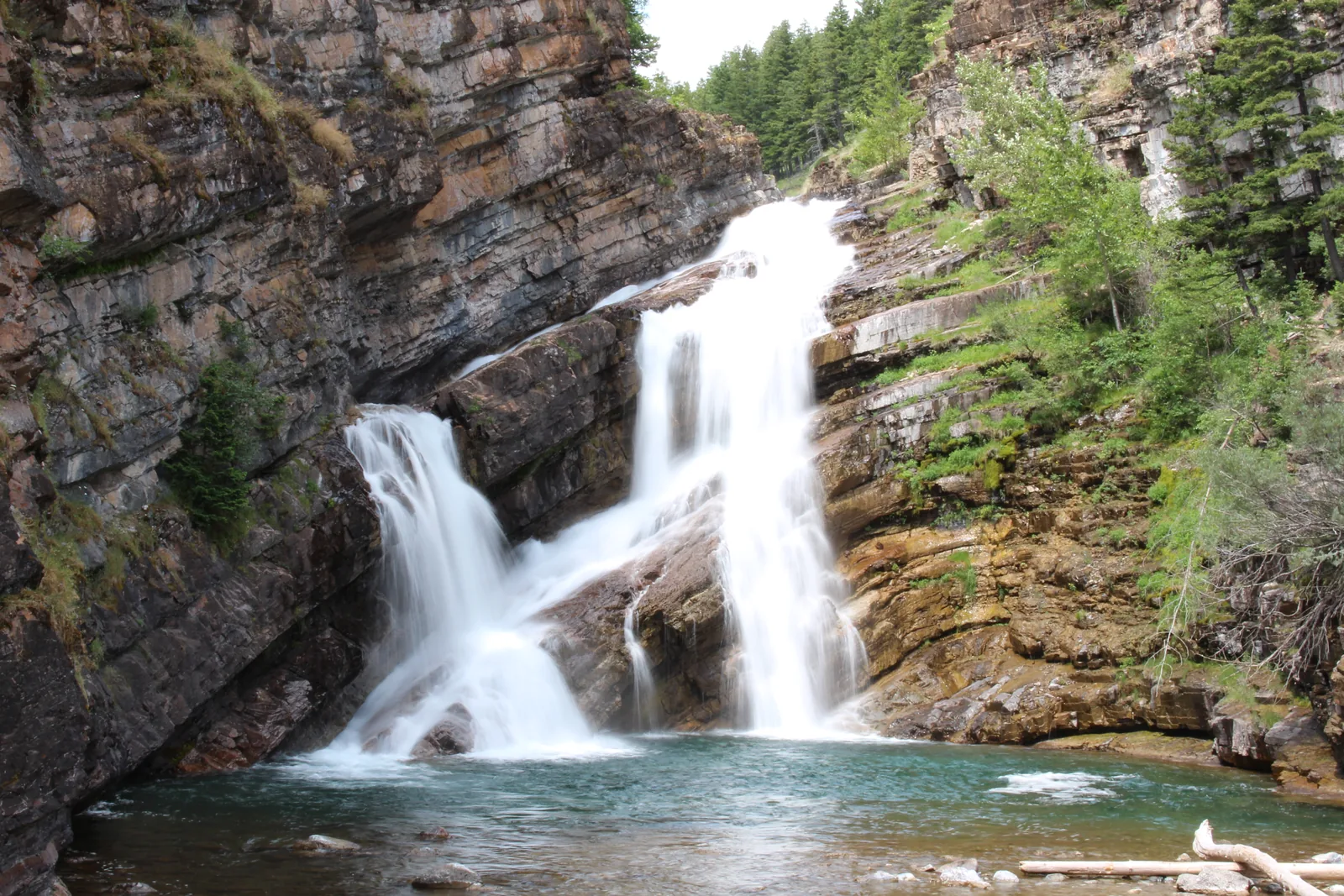 Die Cameron Falls stürzen in zwei Armen über geschichteten Fels in ein Becken, ringsum dichter Nadelwald