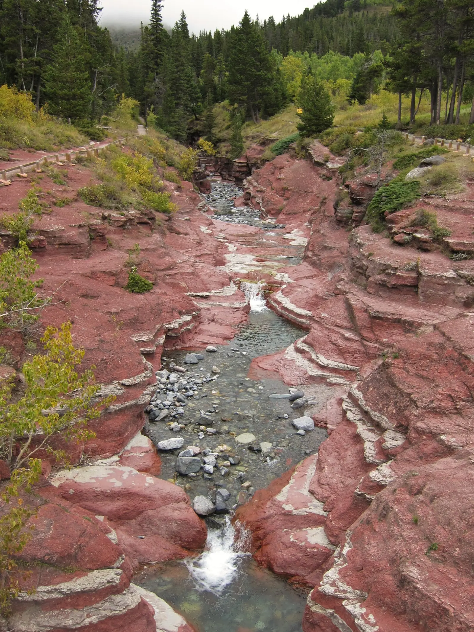 Klares Wasser fließt über die rotgefärbten Gesteinsstufen des Red Rock Canyon, an den Rändern Nadelwald