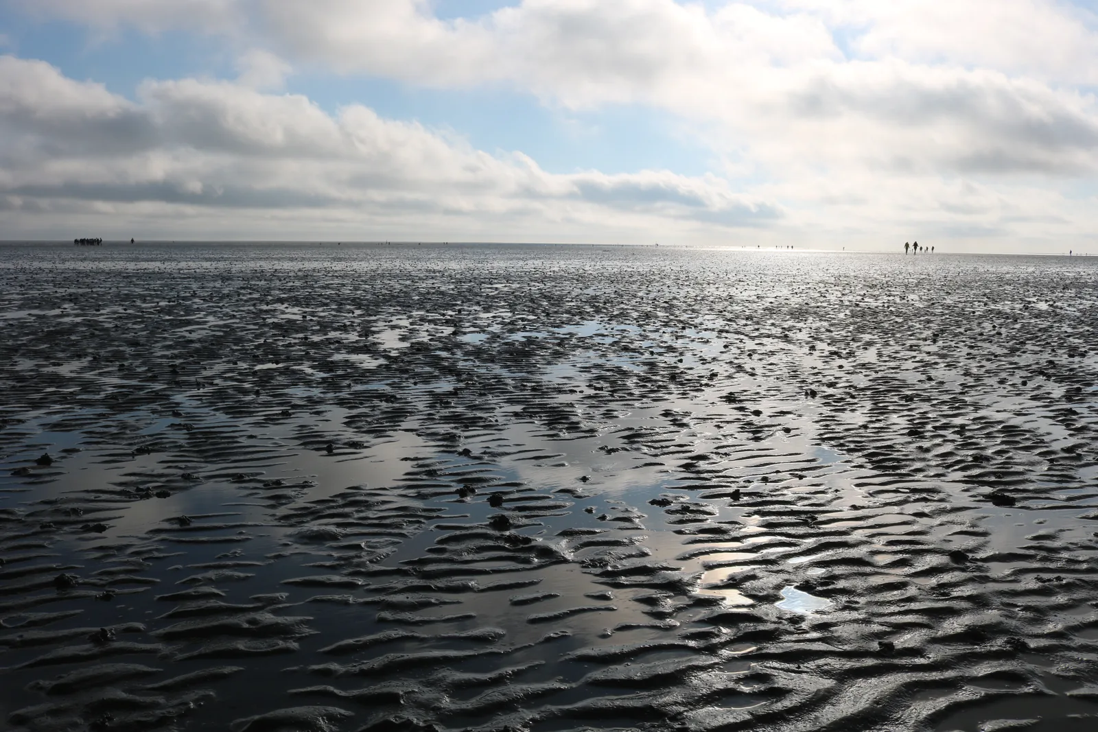 Gerippter Wattboden bei Büsum, in dem sich das Licht des Himmels in flachen Prielen spiegelt