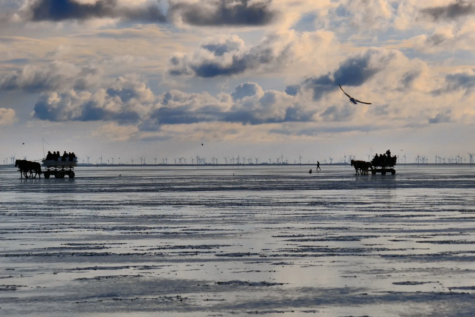 Wattwagen und Fußgänger auf dem Weg vor Cuxhaven-Duhnen, Wattwanderung nach Neuwerk unter Wolkenhimmel