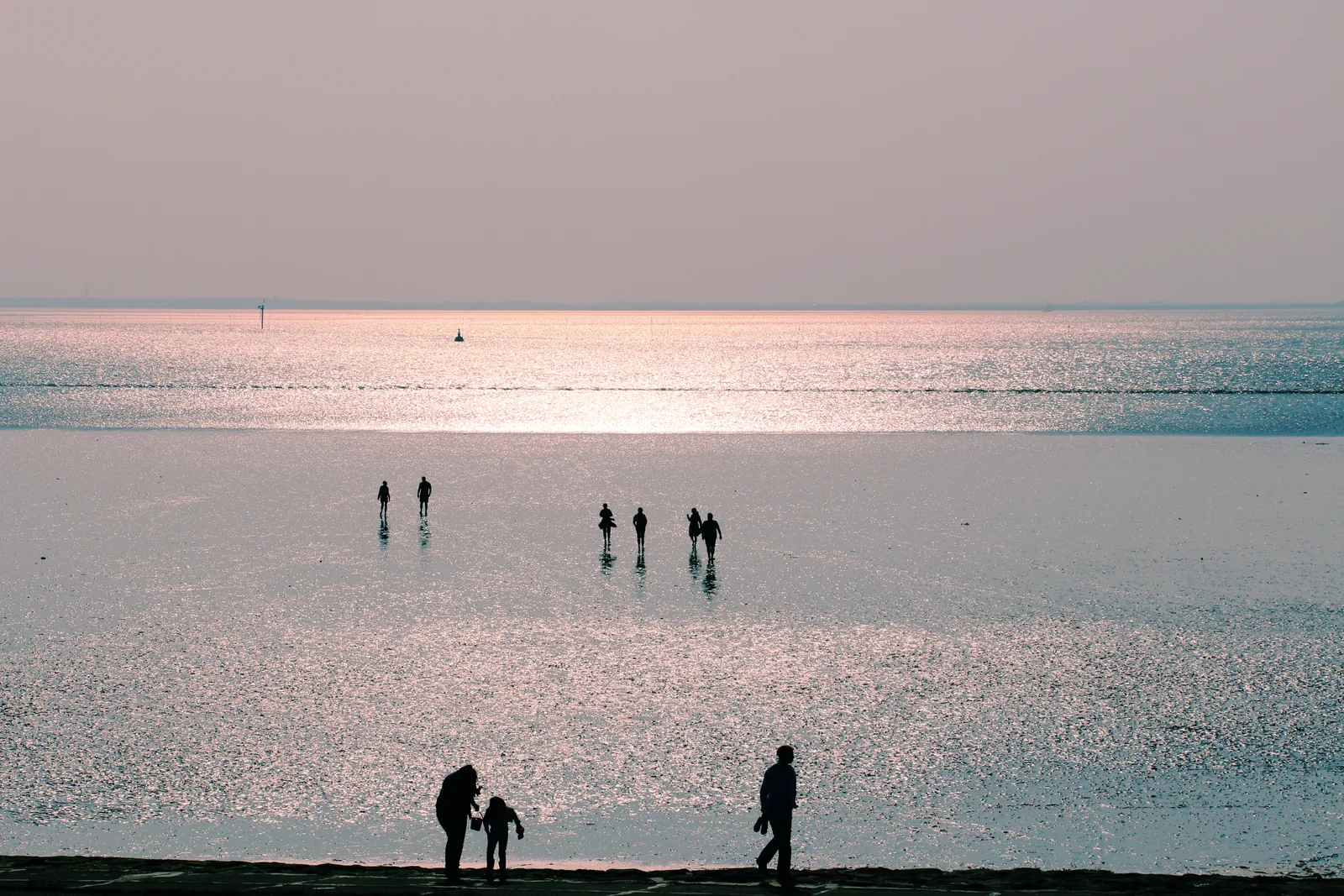 Silhouetten von Menschen bei einer Wattwanderung vor Dagebüll im Abendlicht, Nationalpark Schleswig-Holsteinisches Wattenmeer