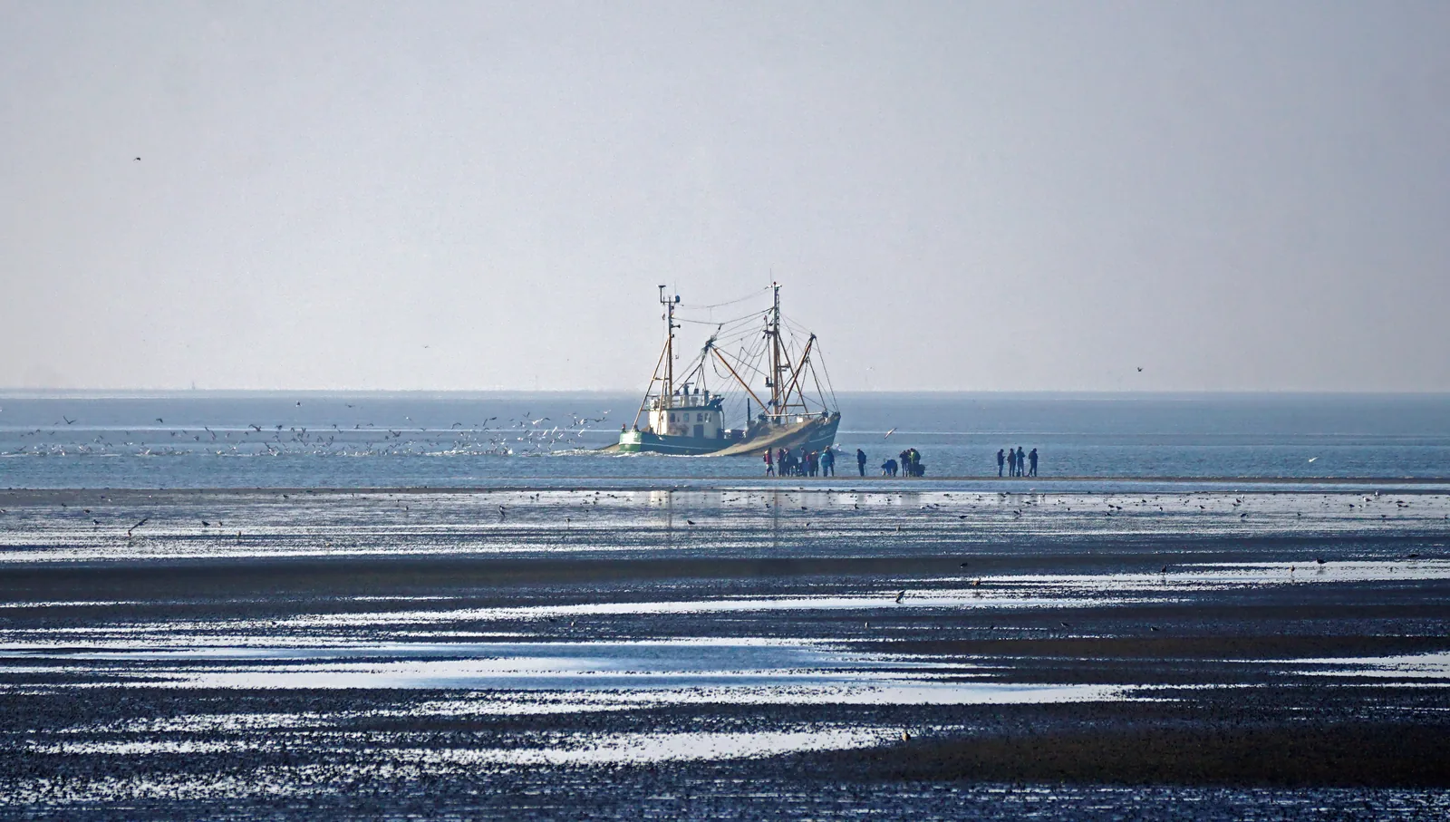 Gruppe bei einer Wattwanderung vor Norderney, im Hintergrund ein Krabbenkutter im Priel