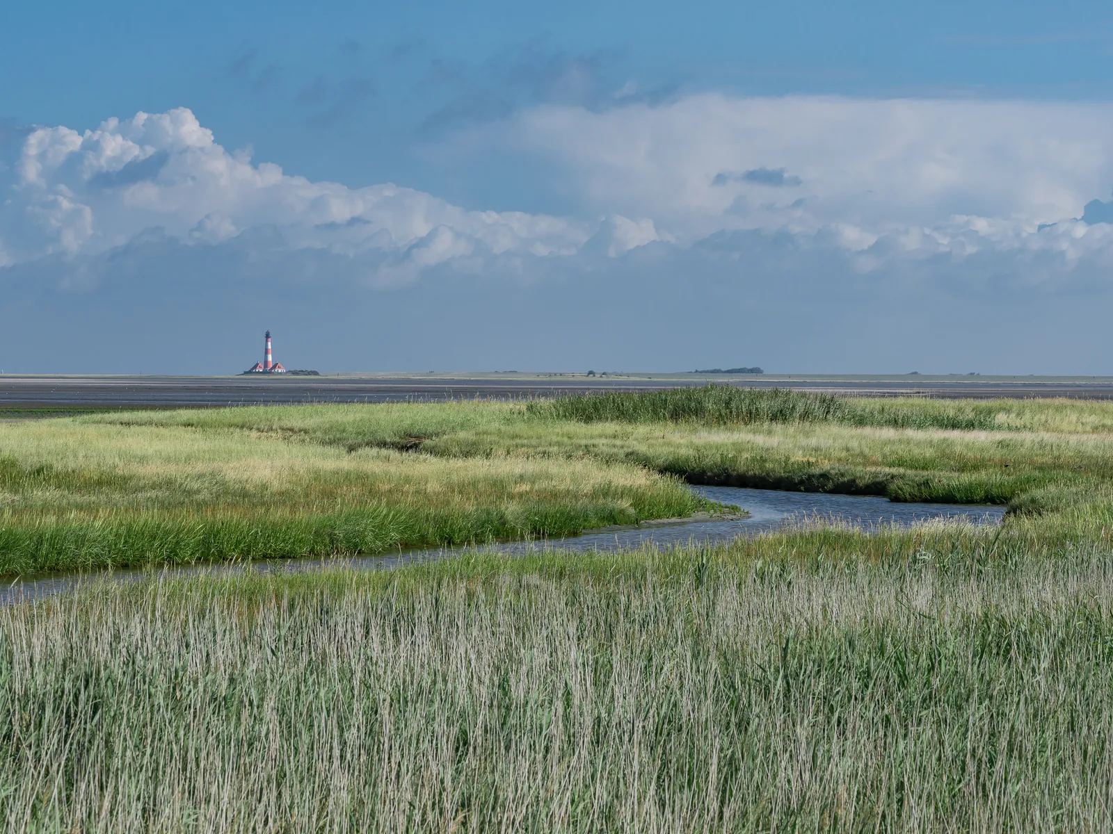 Der Leuchtturm Westerhever hinter den Salzwiesen
