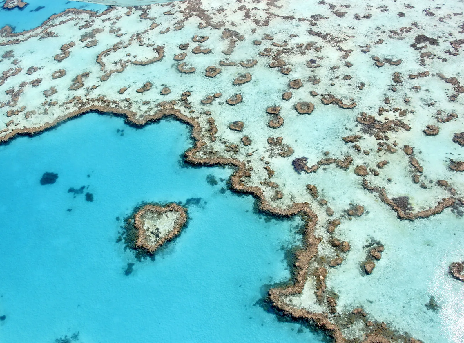 Das herzförmige Heart Reef im Great Barrier Reef Marine Park bei den Whitsundays aus der Luft, umgeben von türkisen Riffflächen