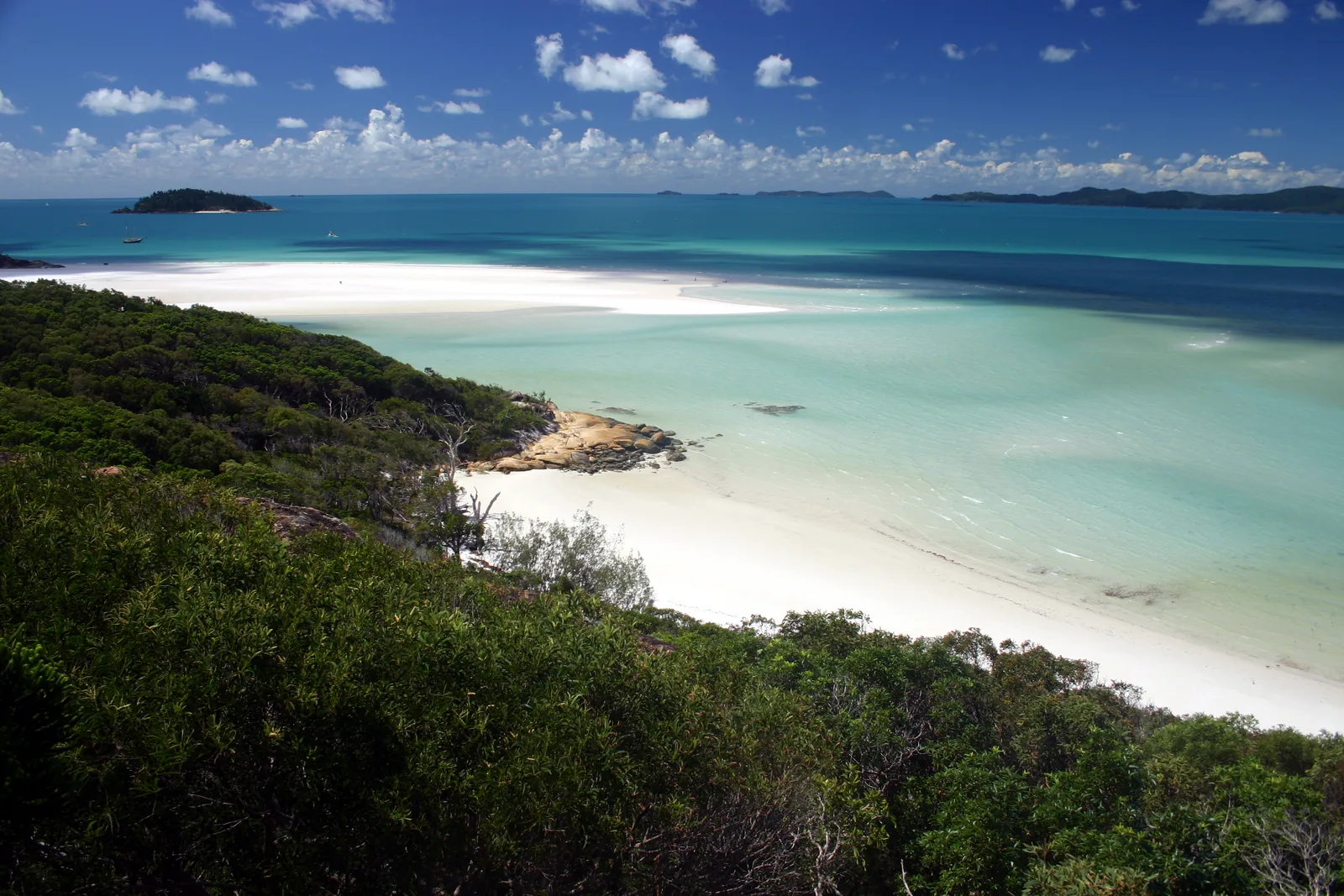 Blick über Buschland auf den weißen Sand und das türkise Wasser von Whitehaven Beach in den Whitsundays im Great Barrier Reef