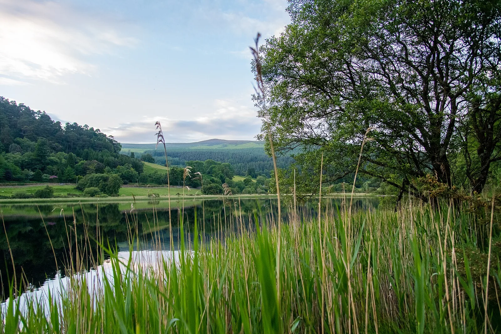 Blick über den Lower Lake in Glendalough im Wicklow-Mountains-Nationalpark auf die bewaldeten Hänge des Tals