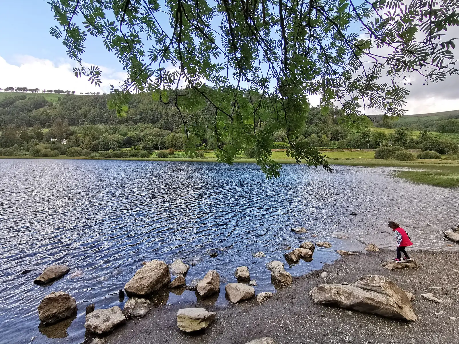 Der Upper Lake in Glendalough im Wicklow-Mountains-Nationalpark zwischen steilen, bewaldeten Berghängen
